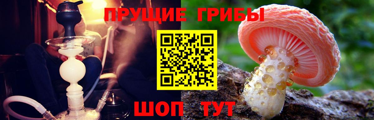 Ржев  Галлюциногенные грибы мицелий  Вход с VPN 